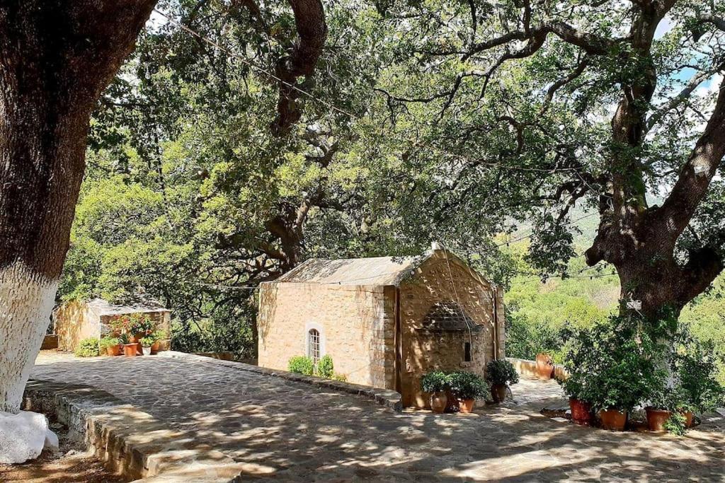 Traditional Residence With Terrace Latsida Εξωτερικό φωτογραφία